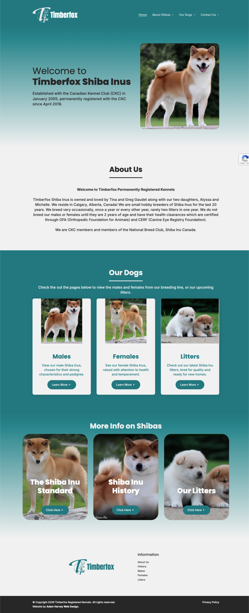 Timberfox Shiba Inus website screenshot